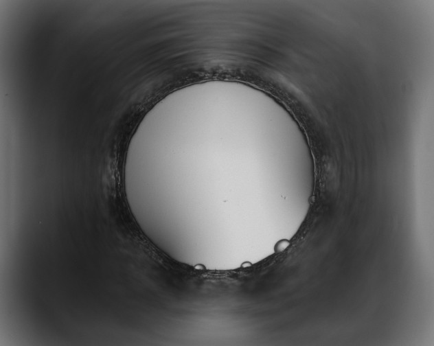 X0000088570918200705251114