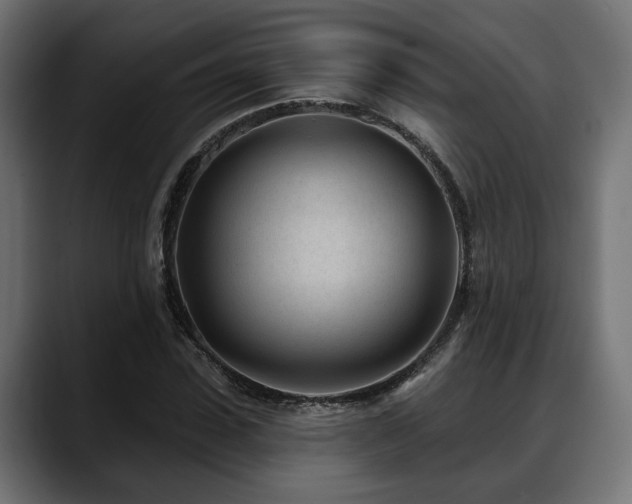 X0000088570923200705251114