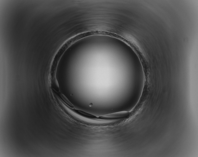 X0000088570924200705251115