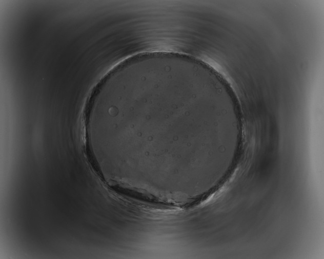 X0000088570925200705251115