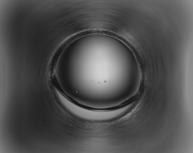 X0000088570926200705251115