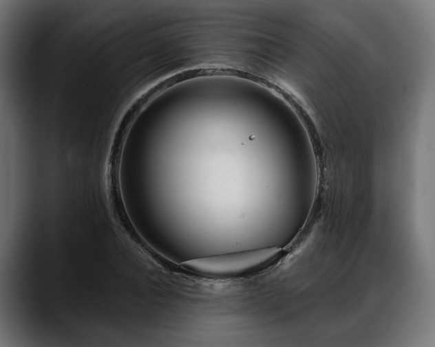 X0000088570928200705251115