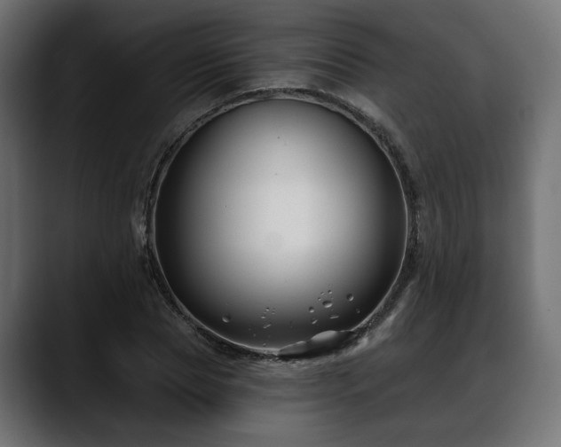 X0000088570929200705251115