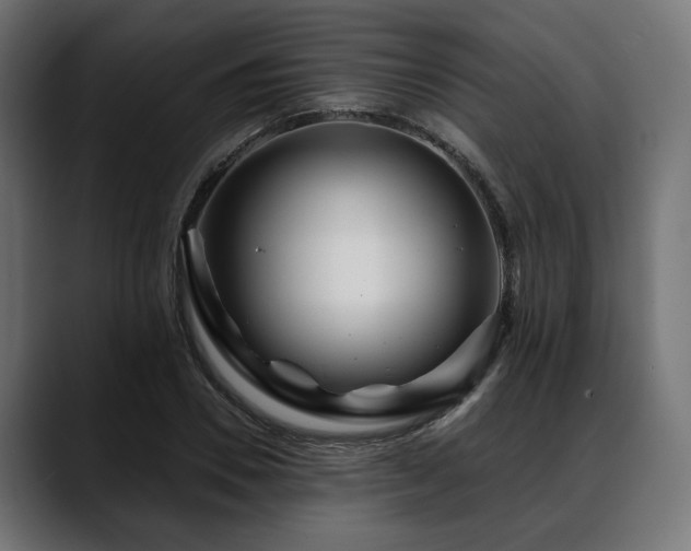 X0000088570930200705251115