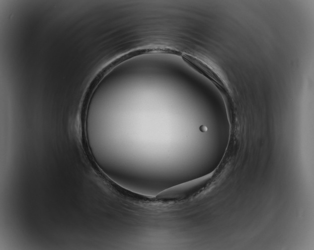 X0000088570936200705251115