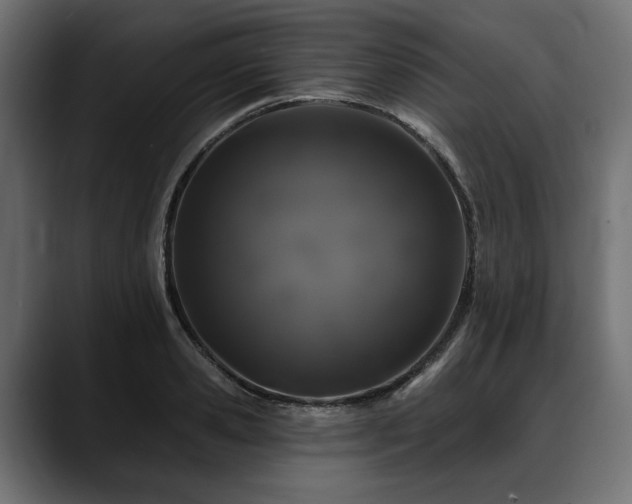 X0000088570941200705251115