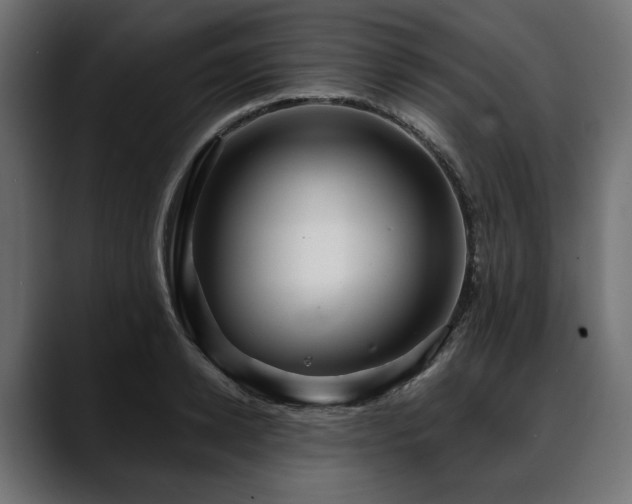 X0000088570942200705251115