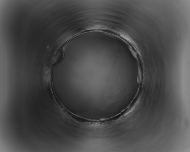 X0000088570945200705251115