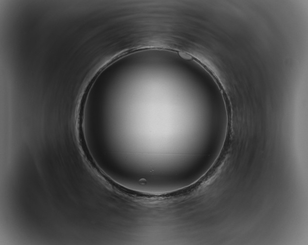 X0000088570949200705251115