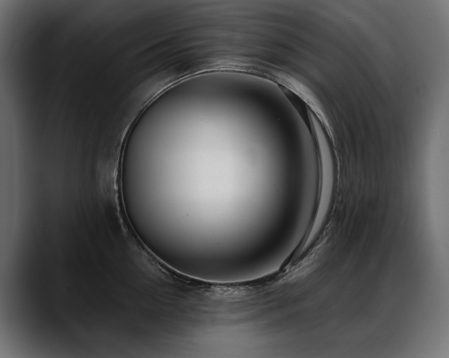 X0000088570954200705251115