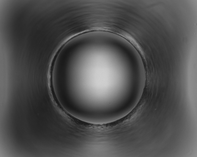 X0000088570955200705251115