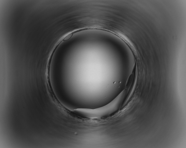 X0000088570956200705251115