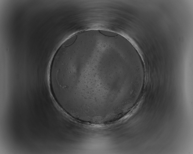 X0000088570957200705251115