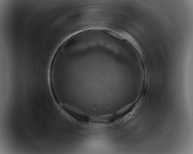 X0000088570958200705251115