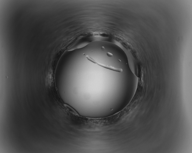 X0000088570963200705251114