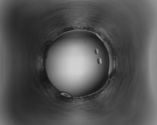 X0000088570964200705251114