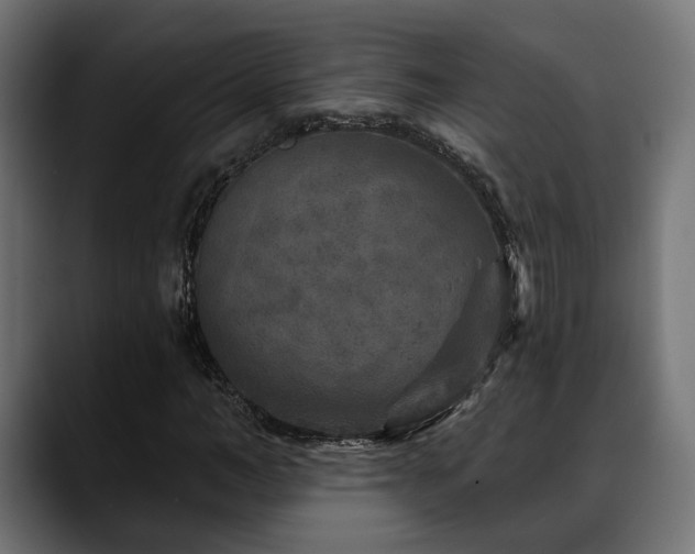 X0000088570966200705251114