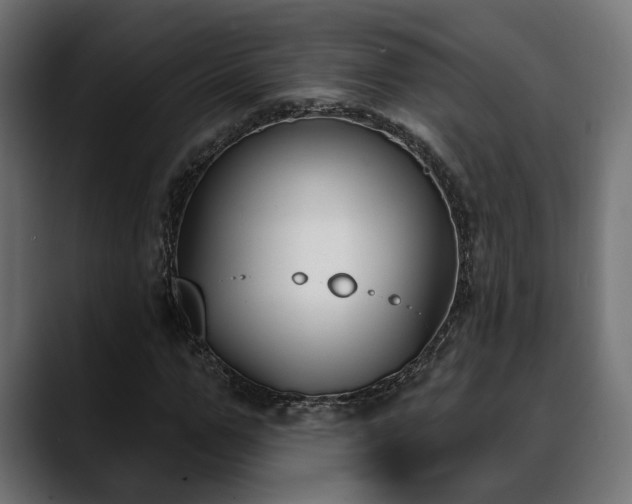 X0000088570967200705251114