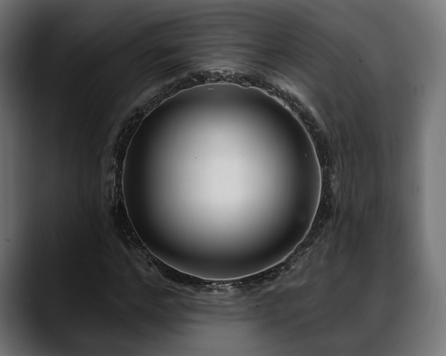 X0000088570968200705251114