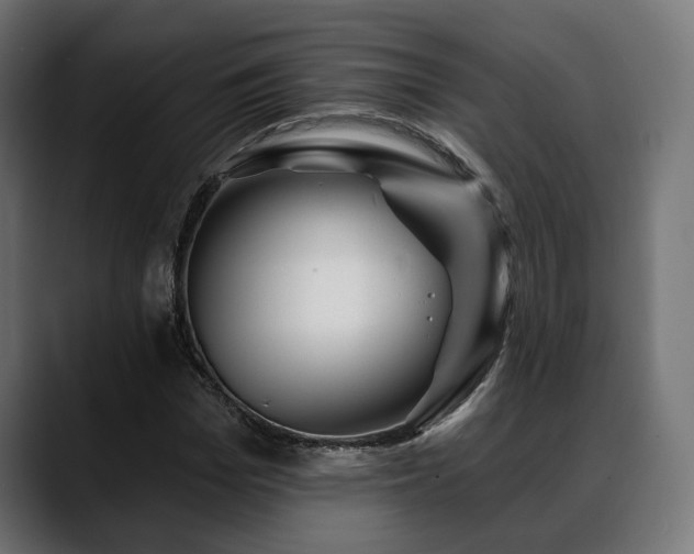 X0000088570969200705251114