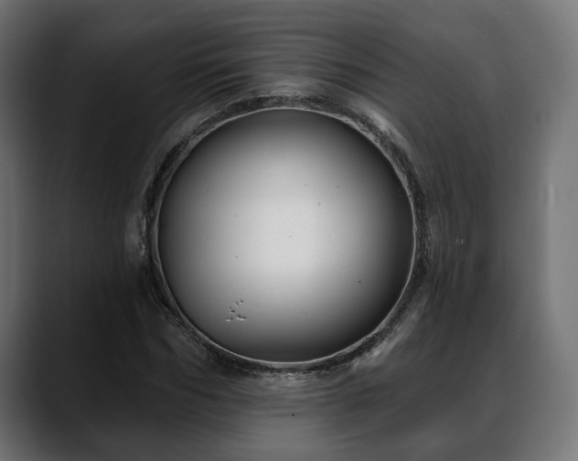 X0000088570970200705251114