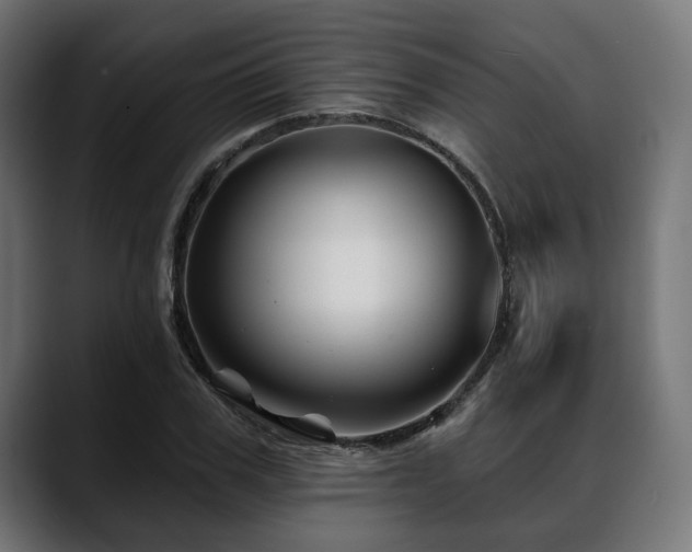 X0000088570979200705251114