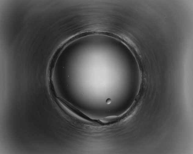 X0000088570981200705251114