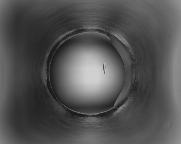 X0000088570984200705251114