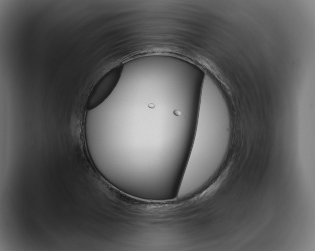 X0000088570985200705251114