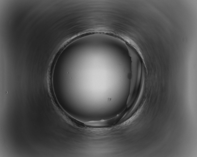 X0000088570989200705251114