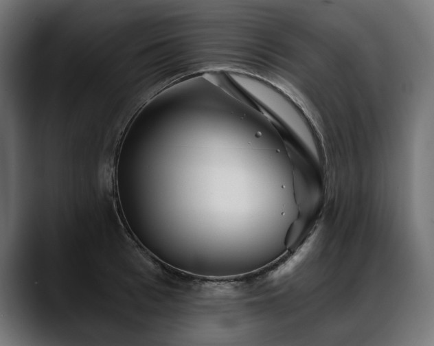 X0000088570993200705251114
