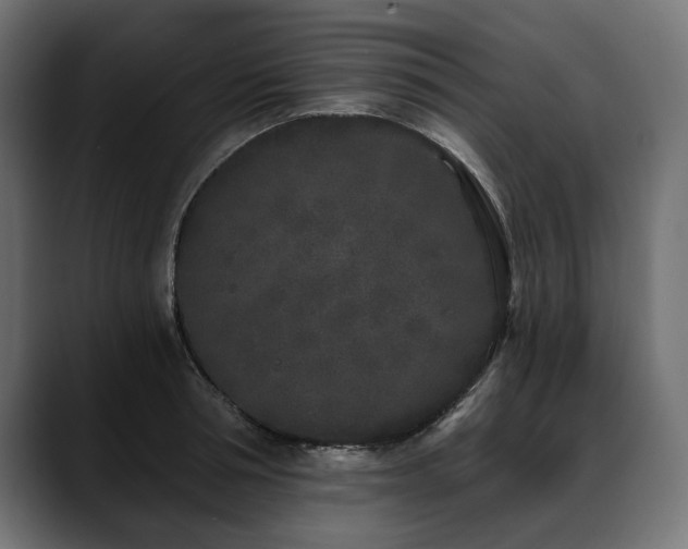 X0000088570994200705251114