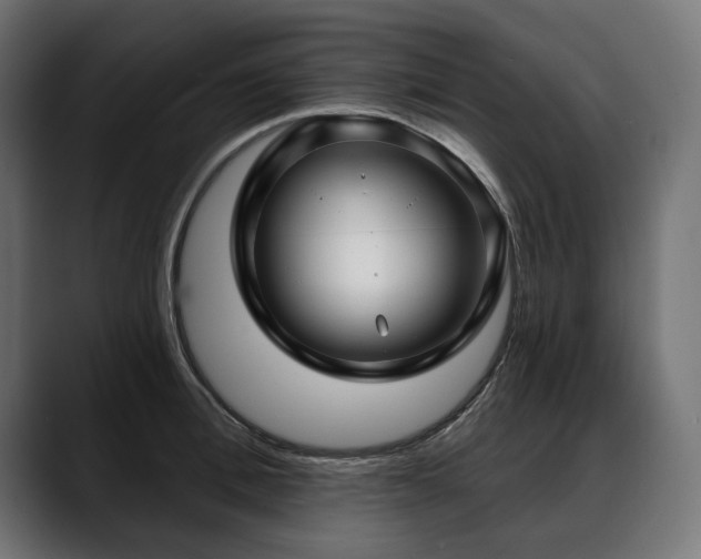 X0000088570996200705251114