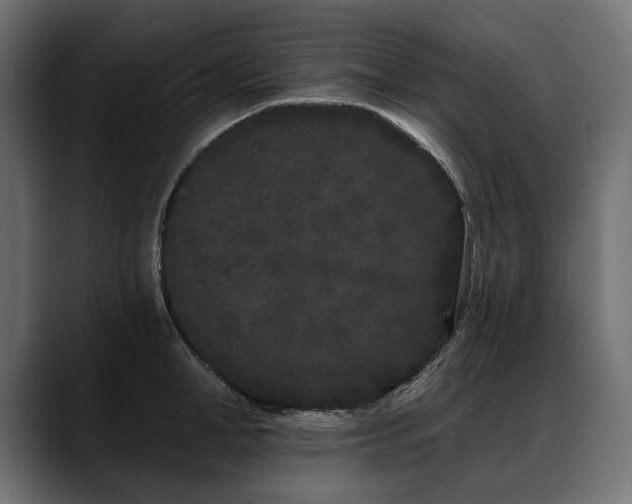 X0000088570998200705251114
