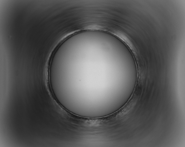 X0000088571000200705251114