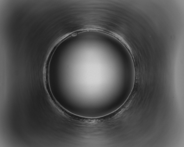 X0000088571003200705251114