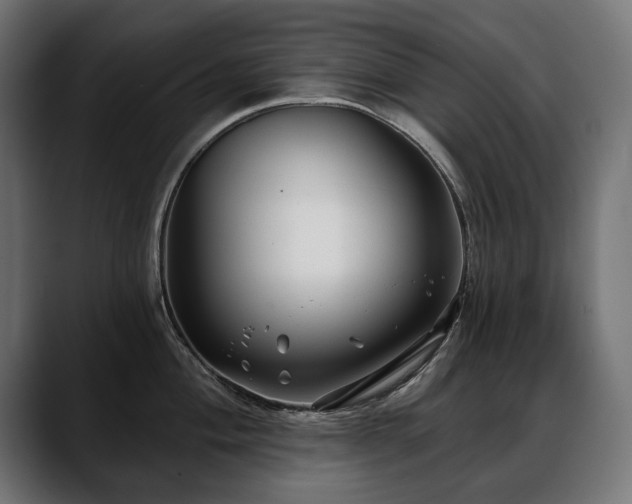X0000088571004200705251114