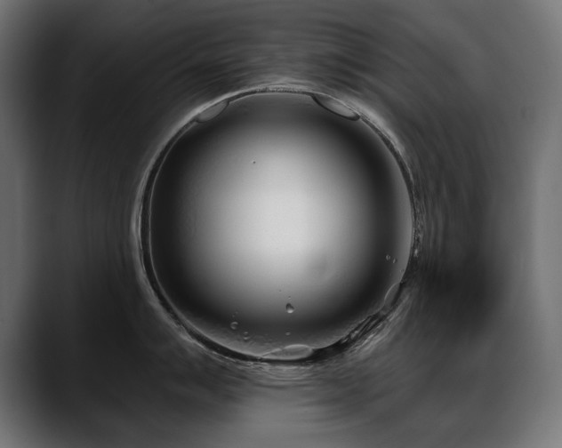 X0000088571007200705251114