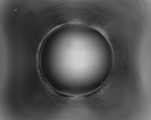 X0000088571008200705251114