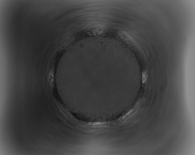 X0000088571011200705251113