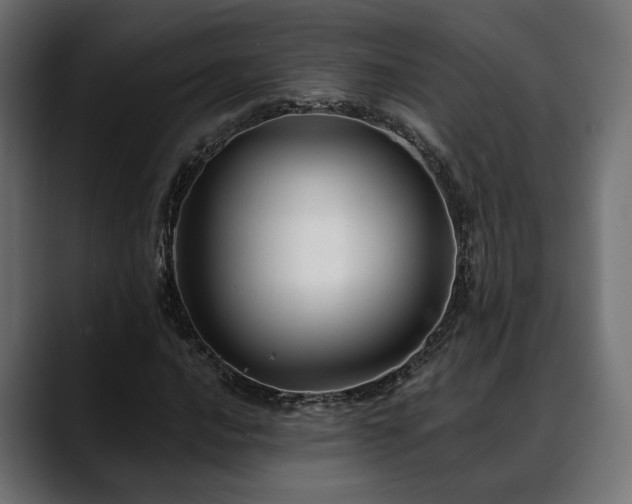 X0000088571016200705251113