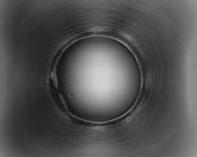 X0000088571017200705251113