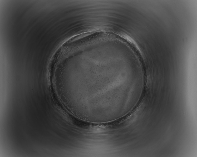 X0000088571019200705251113