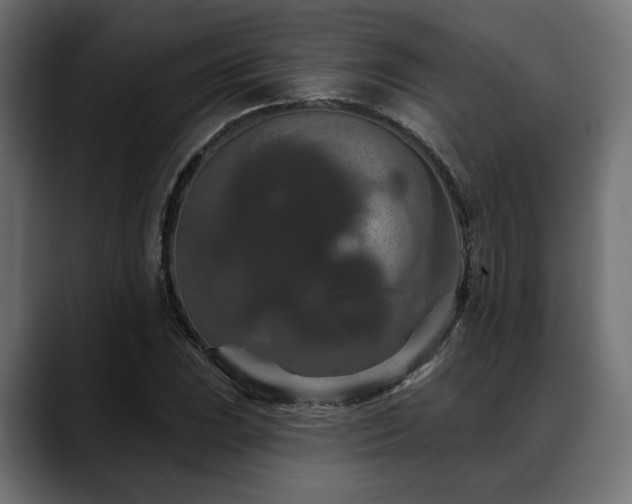 X0000088571023200705251113