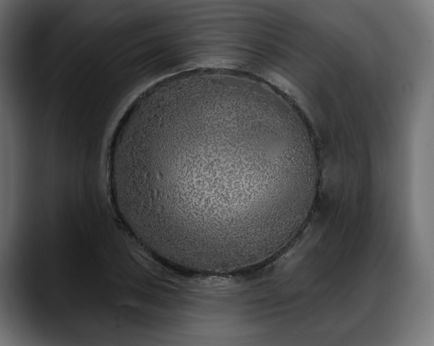 X0000088571027200705251113