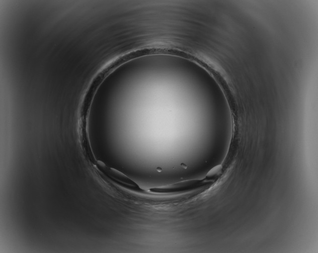 X0000088571029200705251113