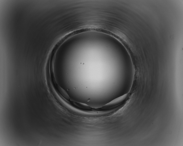 X0000088571030200705251113