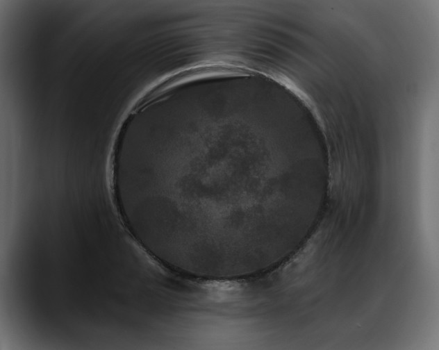 X0000088571037200705251113