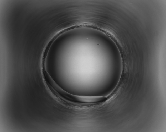 X0000088571038200705251113