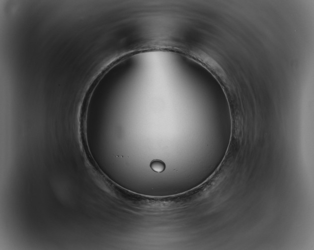 X0000088571039200705251114
